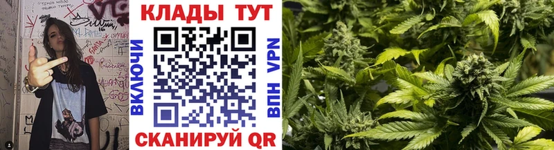 Наркотические вещества Красноармейск Бошки Шишки  A-PVP  ГАШИШ 