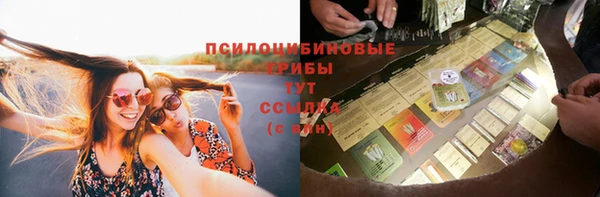 2c-b Надым