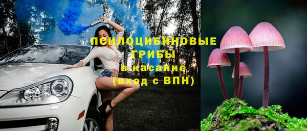а пвп мука Кохма