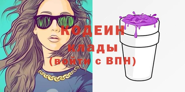 2c-b Надым