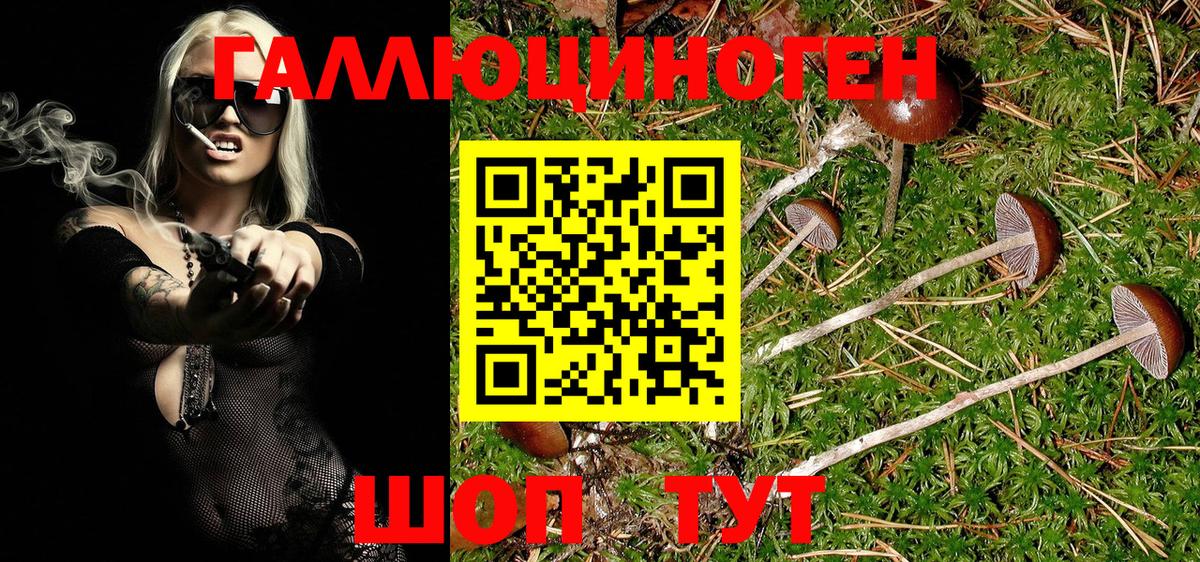 Галлюциногенные грибы GOLDEN TEACHER Красноармейск