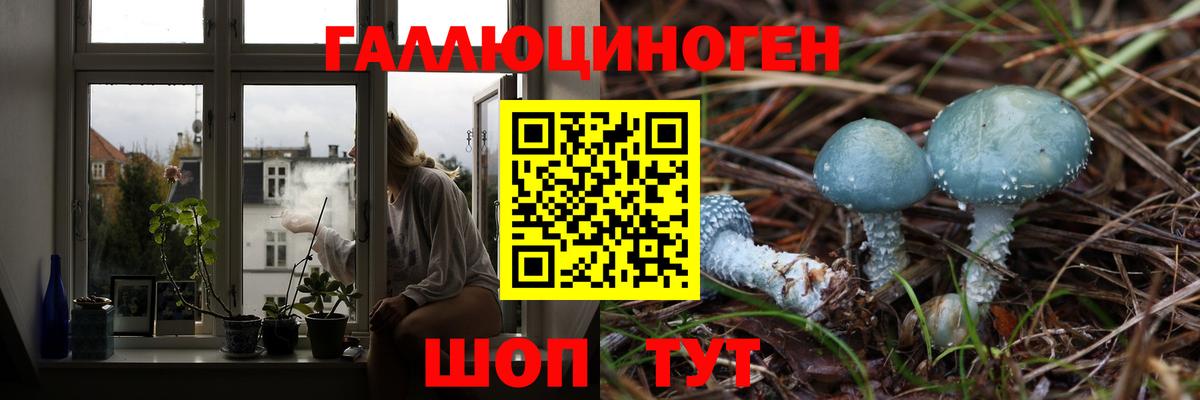 Красноармейск  Псилоцибиновые грибы мицелий  Вход с VPN 